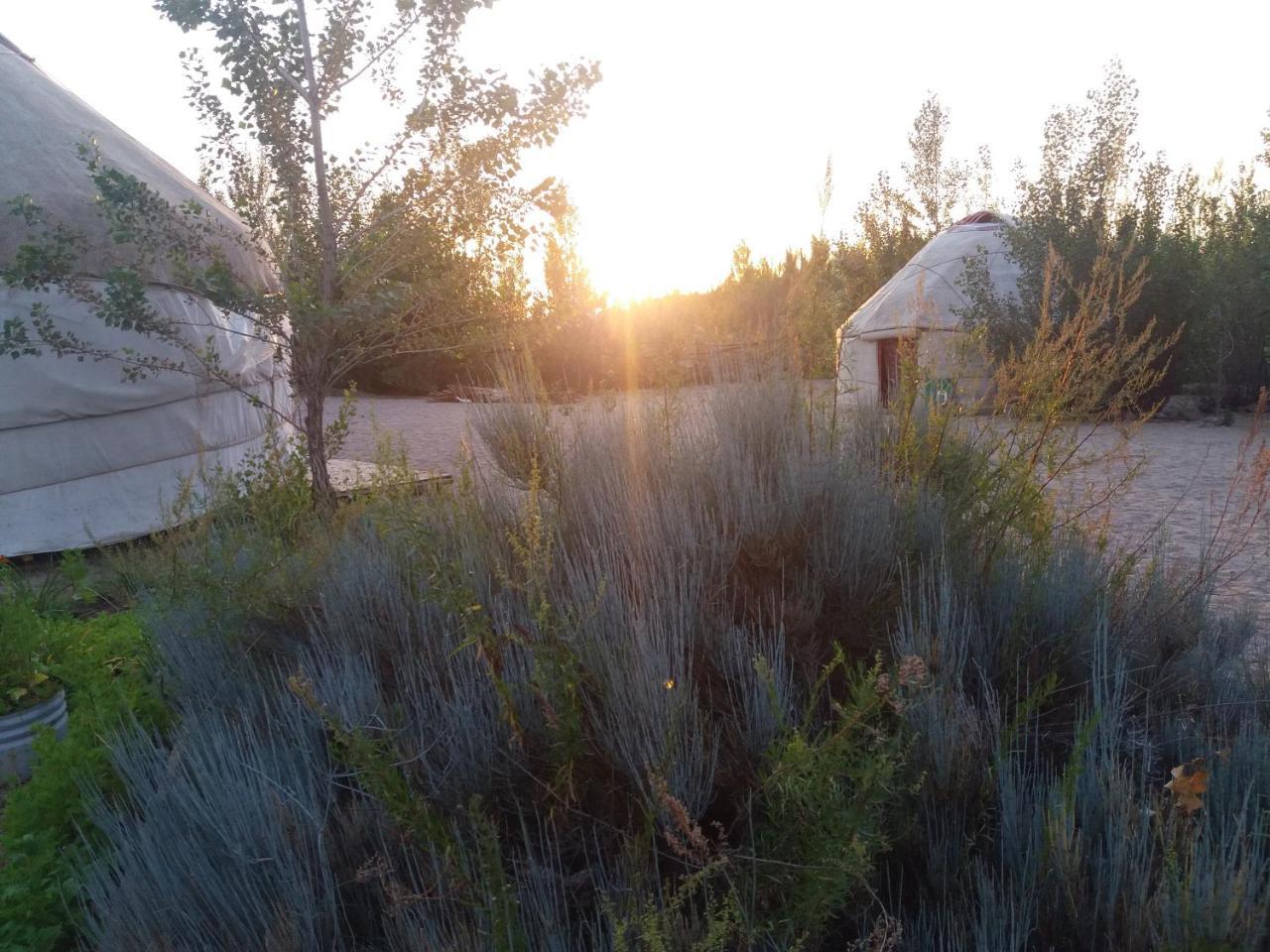 Yurt Camp Tosor Hotel Exterior photo